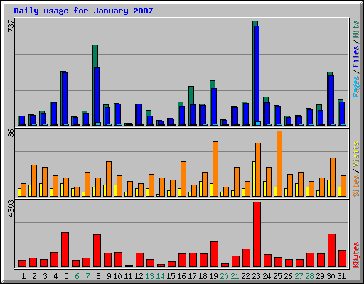 Daily usage for January 2007
