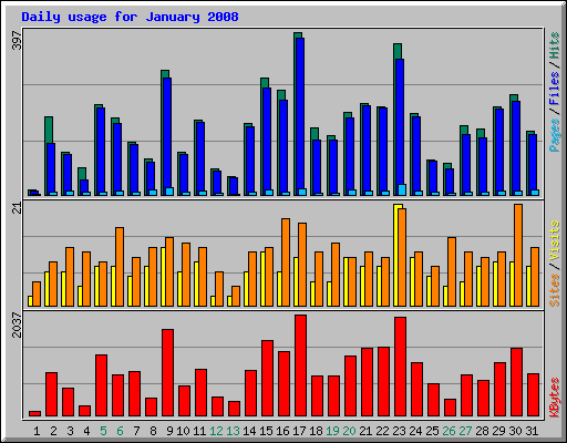 Daily usage for January 2008